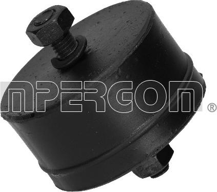 IMPERGOM 31234 - Suport motor aaoparts.ro