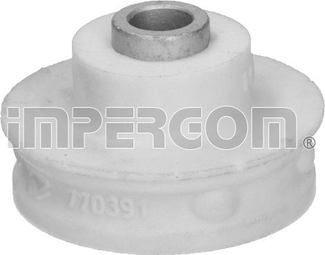 IMPERGOM 38600 - Rulment sarcina suport arc aaoparts.ro