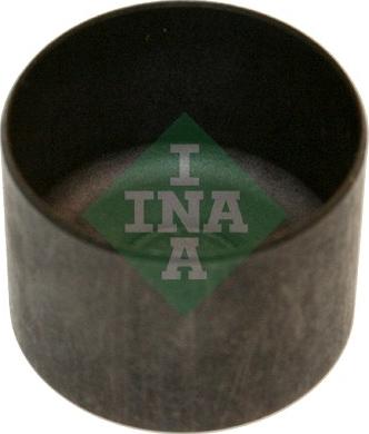 INA 421 0058 10 - Culbutor supapa aaoparts.ro