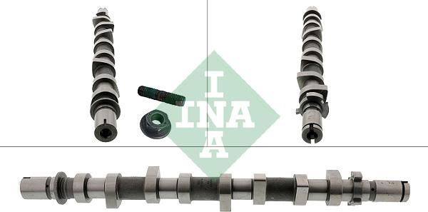 INA 428 0252 10 - Ax cu came aaoparts.ro