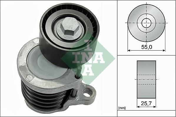 INA 534 0591 10 - Intinzator curea, curea distributie aaoparts.ro