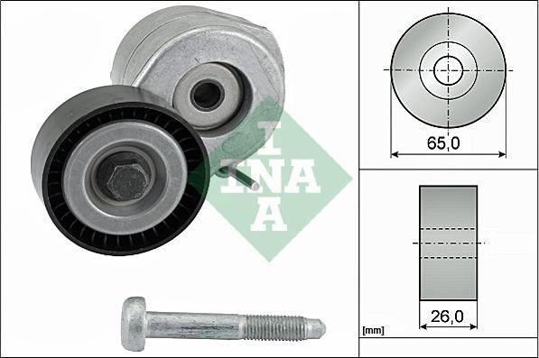 INA 534 0607 10 - Intinzator curea, curea distributie aaoparts.ro