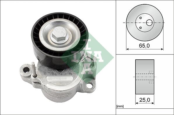 INA 534 0625 10 - Intinzator curea, curea distributie aaoparts.ro