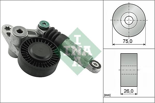 INA 534 0098 10 - Intinzator curea, curea distributie aaoparts.ro