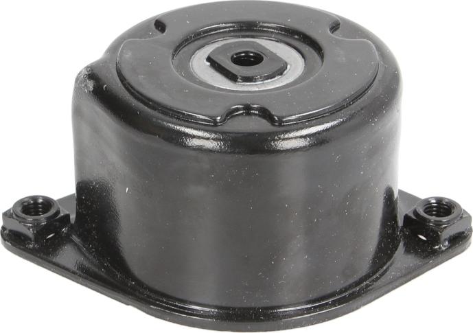 INA 534 0170 10 - Intinzator curea, curea distributie aaoparts.ro