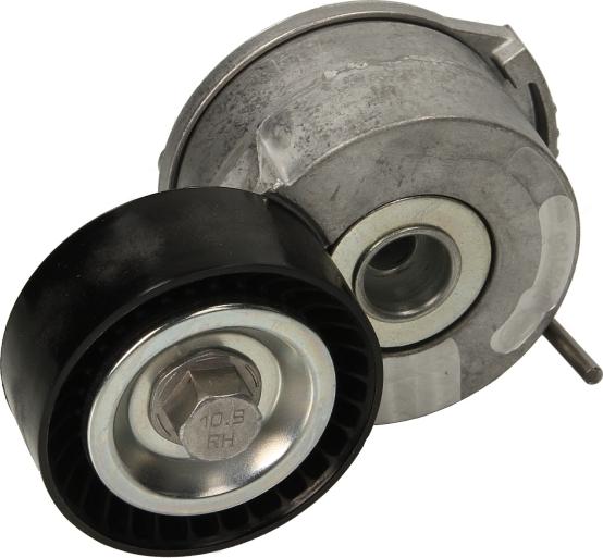 INA 534 0369 10 - Intinzator curea, curea distributie aaoparts.ro