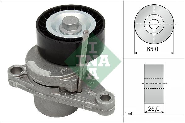 INA 534 0250 10 - Intinzator curea, curea distributie aaoparts.ro