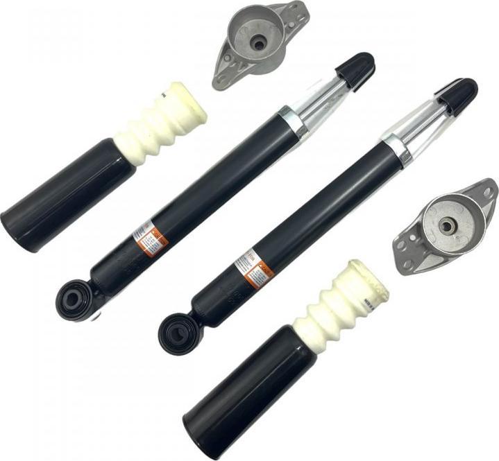 INA-FOR INF10.0006SET - Amortizor aaoparts.ro