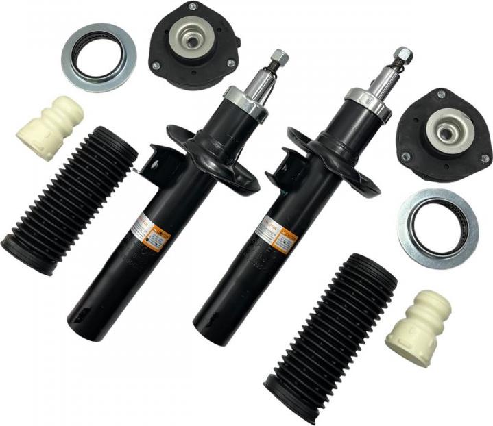 INA-FOR INF10.0035KIT - Amortizor aaoparts.ro