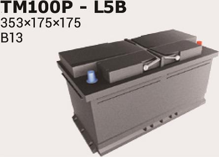 IPSA TM100P - Baterie de pornire aaoparts.ro