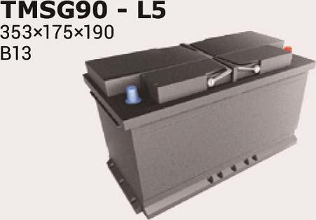 IPSA TMSG90 - Baterie de pornire aaoparts.ro