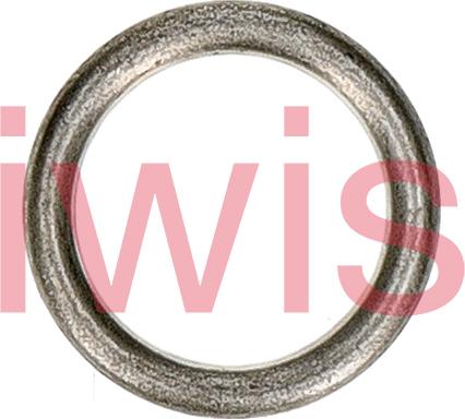 iwis Motorsysteme 60298 - Inel etansare, surub drena ulei aaoparts.ro