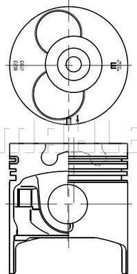 IZUMI IMPA829850Z - Piston aaoparts.ro