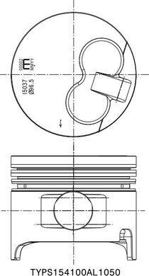 IZUMI TYPS154100AL1050 - Piston aaoparts.ro