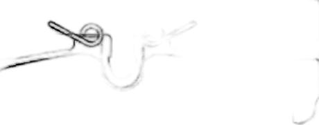 Japko 510103 - Set placute frana,frana disc aaoparts.ro