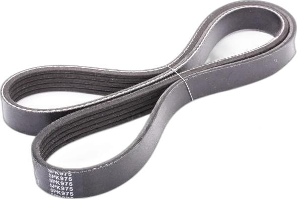 Japko 5PK975 - Curea transmisie cu caneluri aaoparts.ro