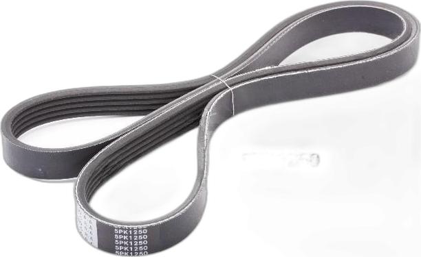 Japko 5PK1250 - Curea transmisie cu caneluri aaoparts.ro