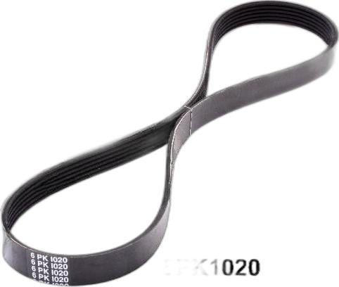 Japko 6PK1020 - Curea transmisie cu caneluri aaoparts.ro