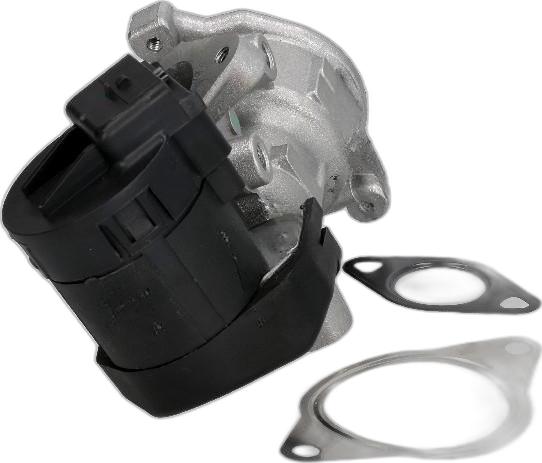 Japko 1500302 - Supapa EGR aaoparts.ro