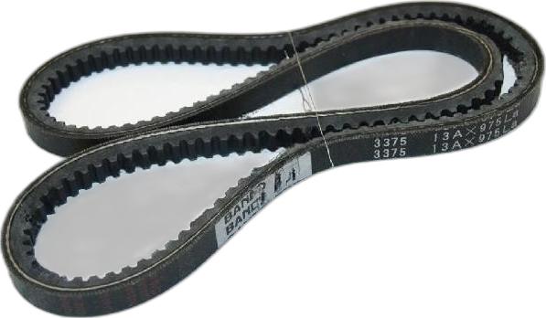 Japko 13X975 - Curea transmisie aaoparts.ro