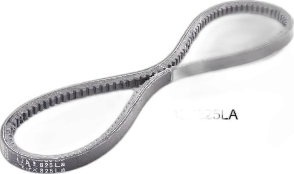 Japko 13X825 - Curea transmisie aaoparts.ro