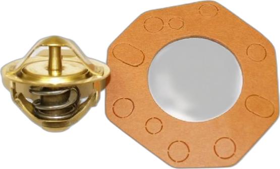 Japko 2039 - Termostat,lichid racire aaoparts.ro