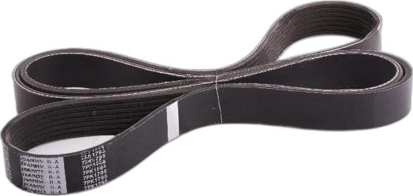 Japko 7PK1795 - Curea transmisie cu caneluri aaoparts.ro