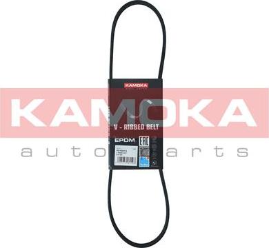 Kamoka 7013013 - Curea transmisie cu caneluri aaoparts.ro