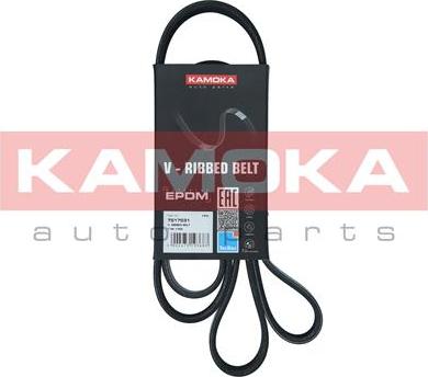 Kamoka 7017031 - Curea transmisie cu caneluri aaoparts.ro
