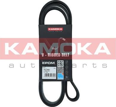 Kamoka 7017021 - Curea transmisie cu caneluri aaoparts.ro