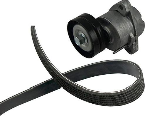 Kavo Parts DKM-1003 - Set curea transmisie aaoparts.ro