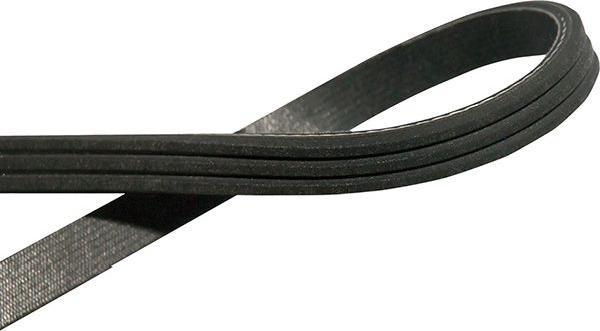 Kavo Parts DMV-6549 - Curea transmisie cu caneluri aaoparts.ro