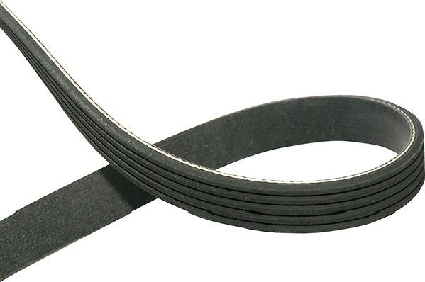 Kavo Parts DMV-5545 - Curea transmisie cu caneluri aaoparts.ro