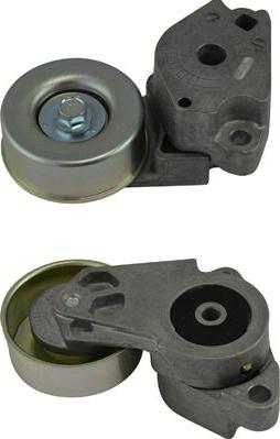 Kavo Parts DTP-5503 - Rola ghidare / conducere, curea transmisie aaoparts.ro
