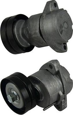 Kavo Parts DTP-1001 - Rola ghidare / conducere, curea transmisie aaoparts.ro