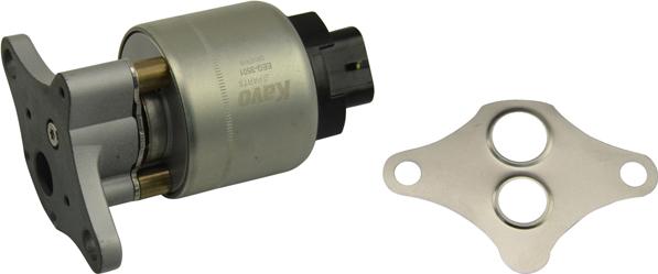 Kavo Parts EEG-3501 - Supapa EGR aaoparts.ro