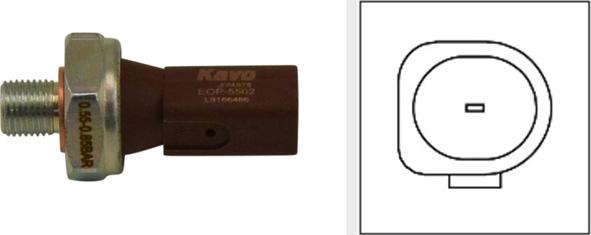 Kavo Parts EOP-5502 - Senzor,presiune ulei aaoparts.ro