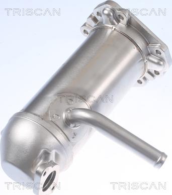 Kawe 8813 16114 - Radiator, recirculare gaze de esapament aaoparts.ro