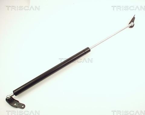 Kawe 8710 13231 - Amortizor portbagaj aaoparts.ro