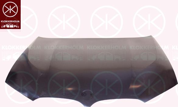 Klokkerholm 0088280 - Capota motor aaoparts.ro