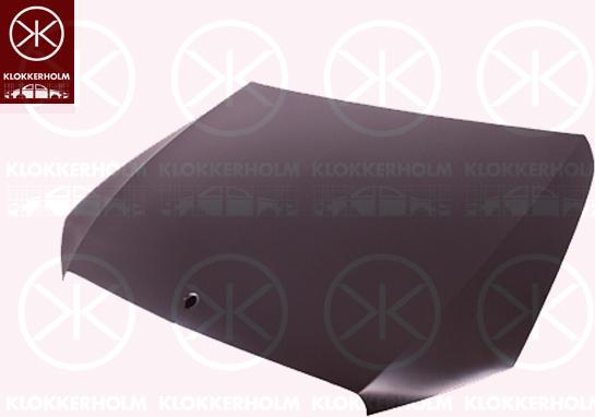 Klokkerholm 3530280A1 - Capota motor aaoparts.ro