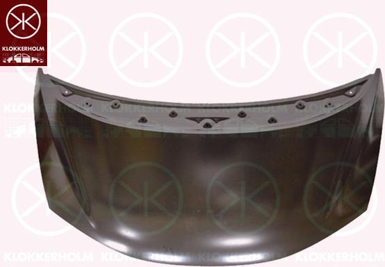 Klokkerholm 2902280 - Capota motor aaoparts.ro