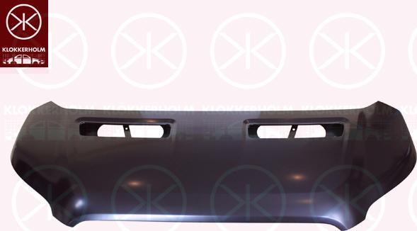 Klokkerholm 2512281 - Capota motor aaoparts.ro