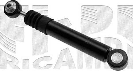 KM International FI12170 - Amortizor vibratii, curea transmisie cu caneluri aaoparts.ro