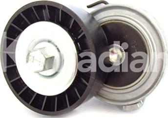 K'nadian 90234 - Intinzator curea, curea distributie aaoparts.ro