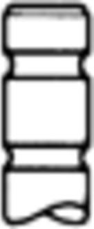 Kolbenschmidt 50017666 - Supapa admisie aaoparts.ro