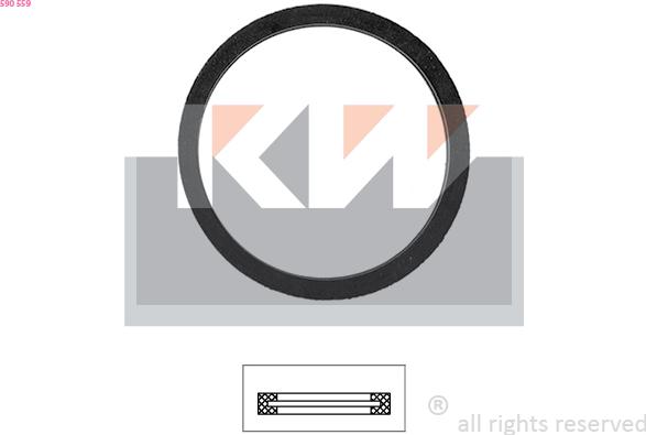 KW 590 559 - Garnitura termostat aaoparts.ro