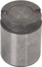 Lauber CQ71364715 - Piston, etrier frana aaoparts.ro