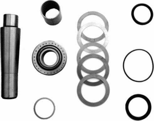 Lemförder 24813 01 - Set reparatie, pivot aaoparts.ro