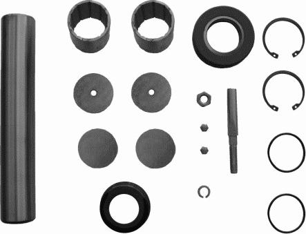 Lemförder 25691 01 - Set reparatie, pivot aaoparts.ro
